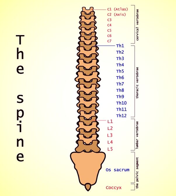 osteocondrose lombar